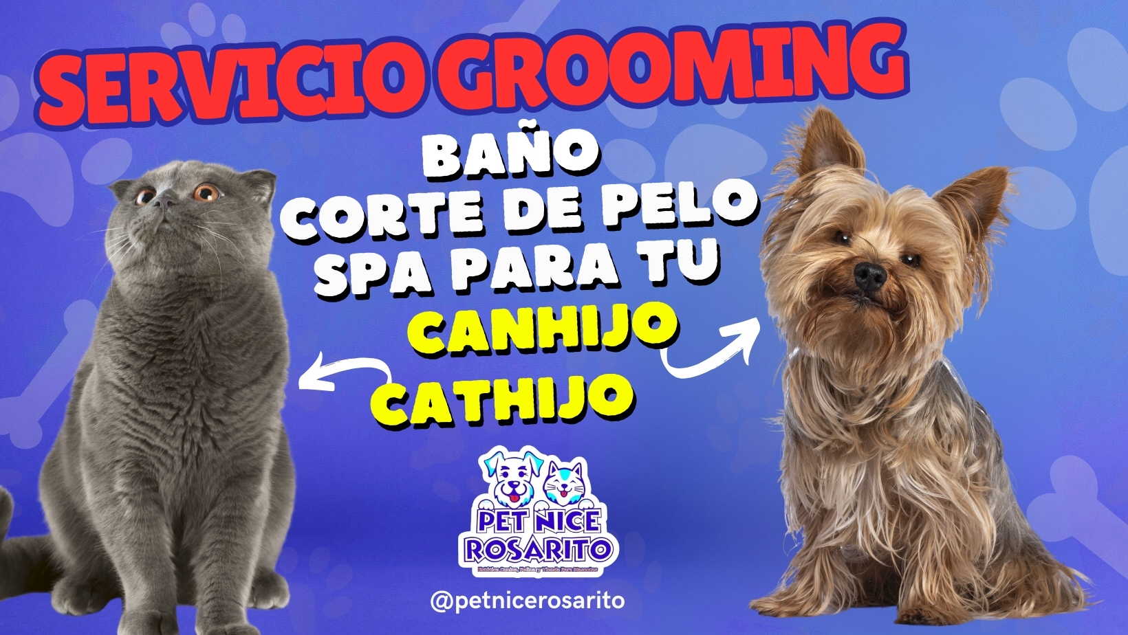 GROOMING EN ROSARITO BAJA CALIFORNIA