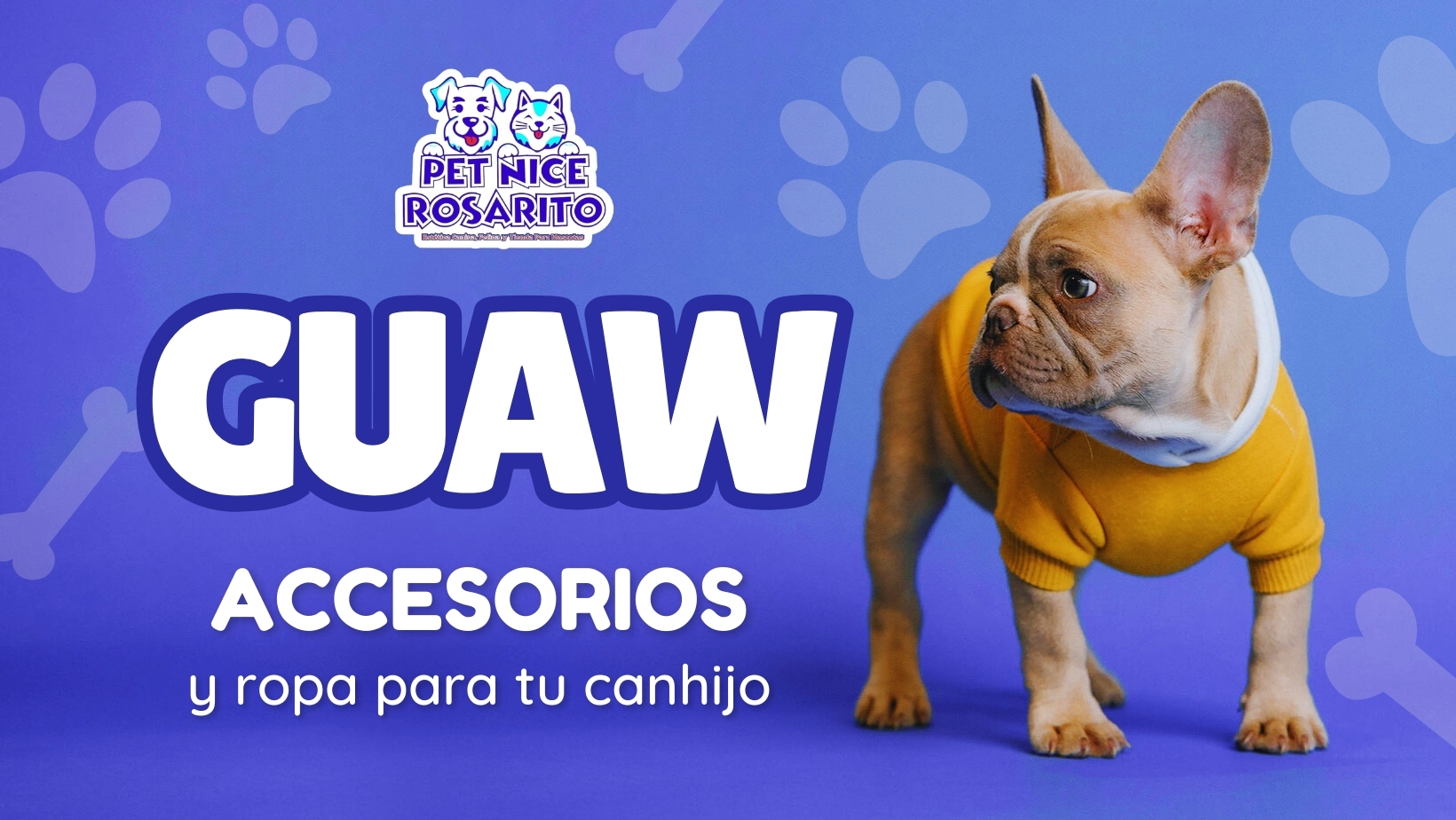 ACCESORIOS Y ropa para tu canhijo