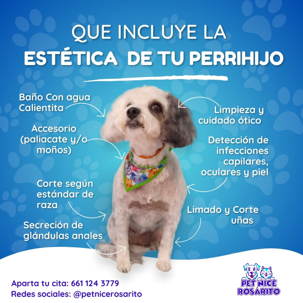 Estetica Canina Rosarito Pet Nice Rosarito